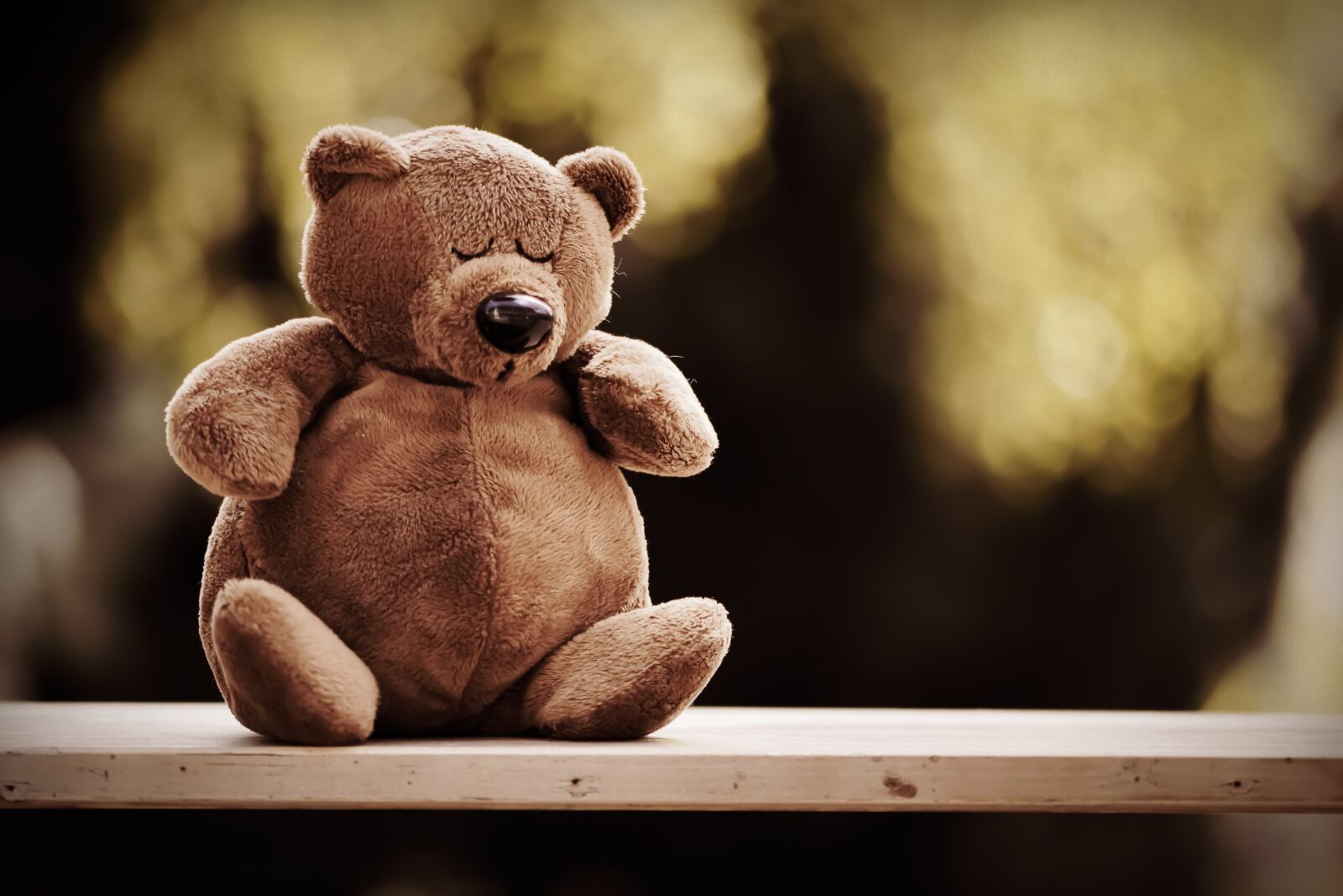 Nikon D7200 sample photo. Teddy, cute, tired photography