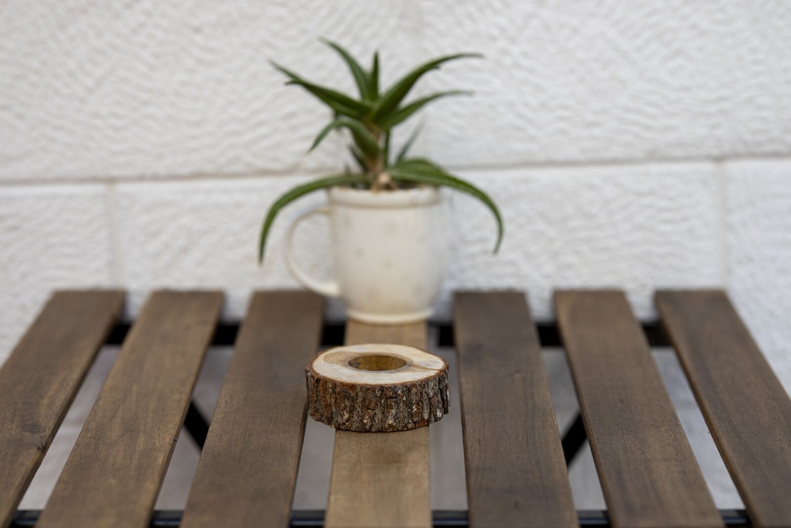 Canon RF 85mm F1.2L USM sample photo. Table, plant, flowerpot photography