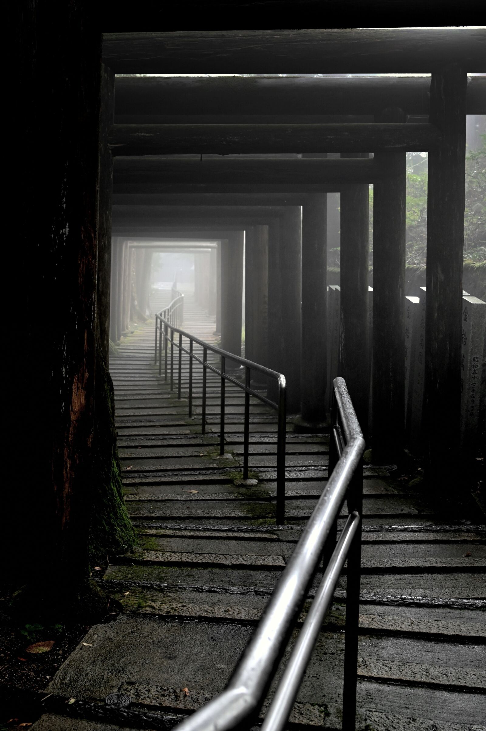 Nikon Nikkor Z 24-70mm F2.8 S sample photo. Shrine, japan, fog photography