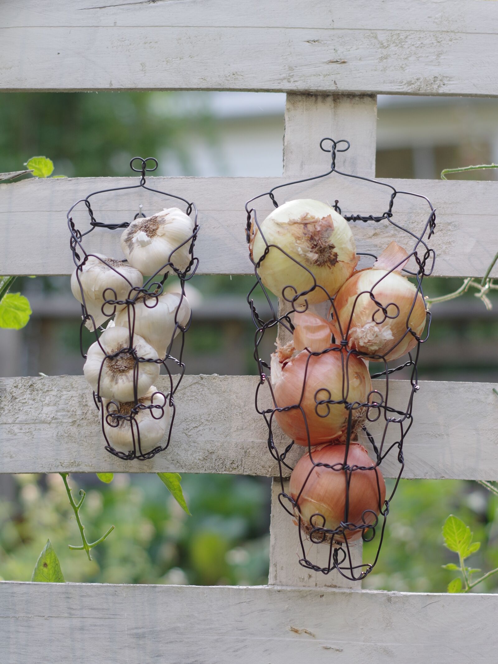 Pentax K-01 sample photo. Onions, garlic, wire photography