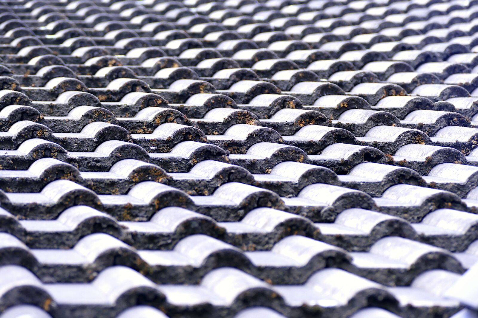 Panasonic Lumix DMC-FZ1000 sample photo. Tile, roof, roofers photography