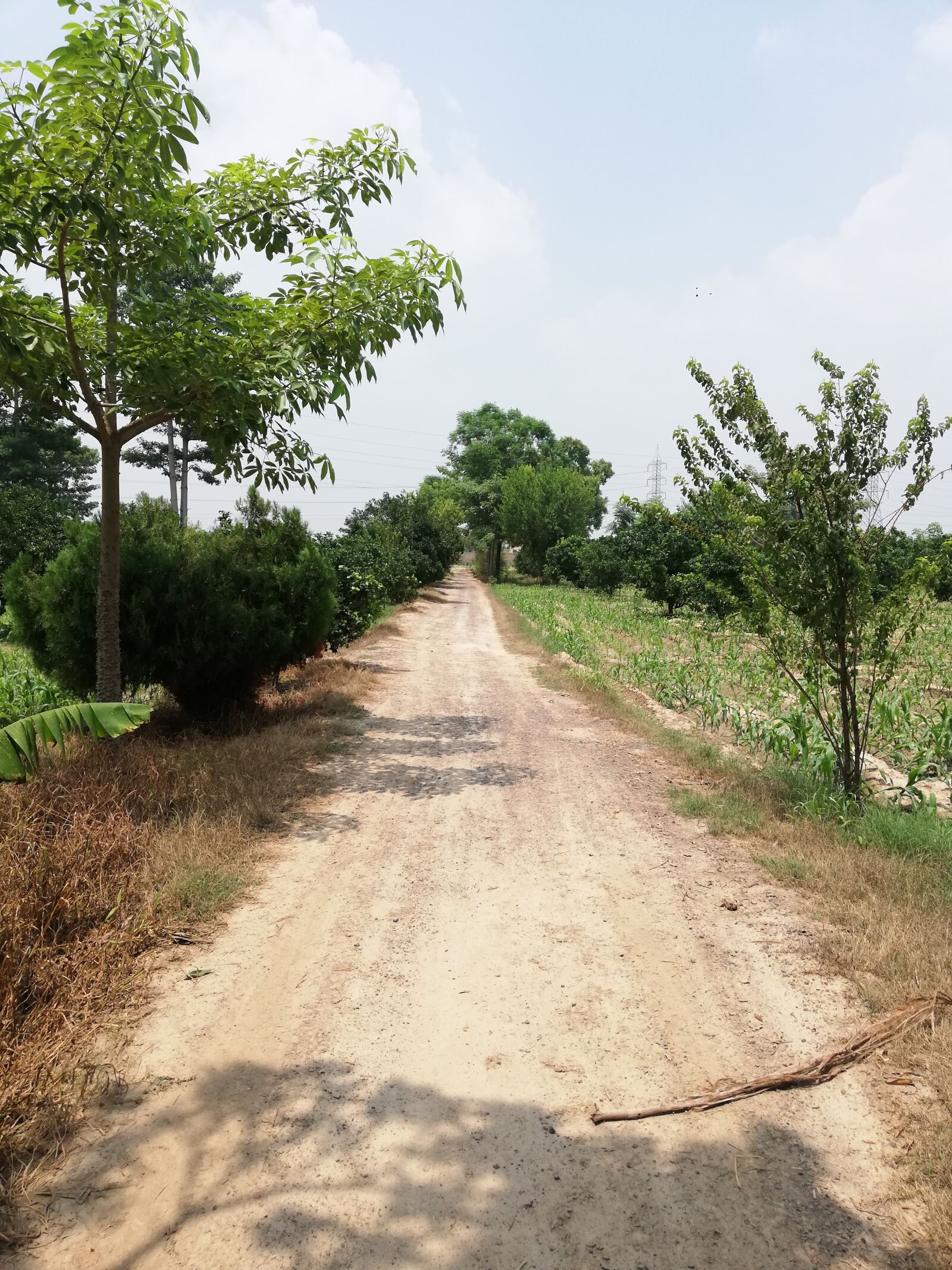 HUAWEI RNE-L21 sample photo