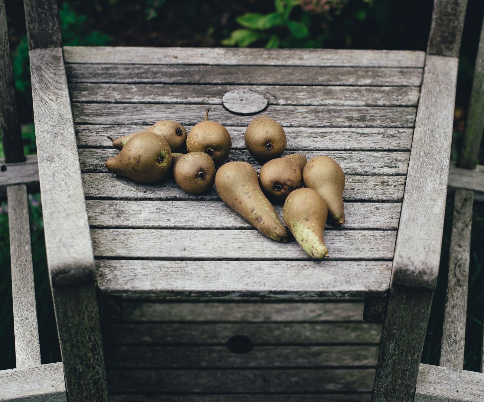 Nikon D4S sample photo. Agriculture, close-up, delicious photography