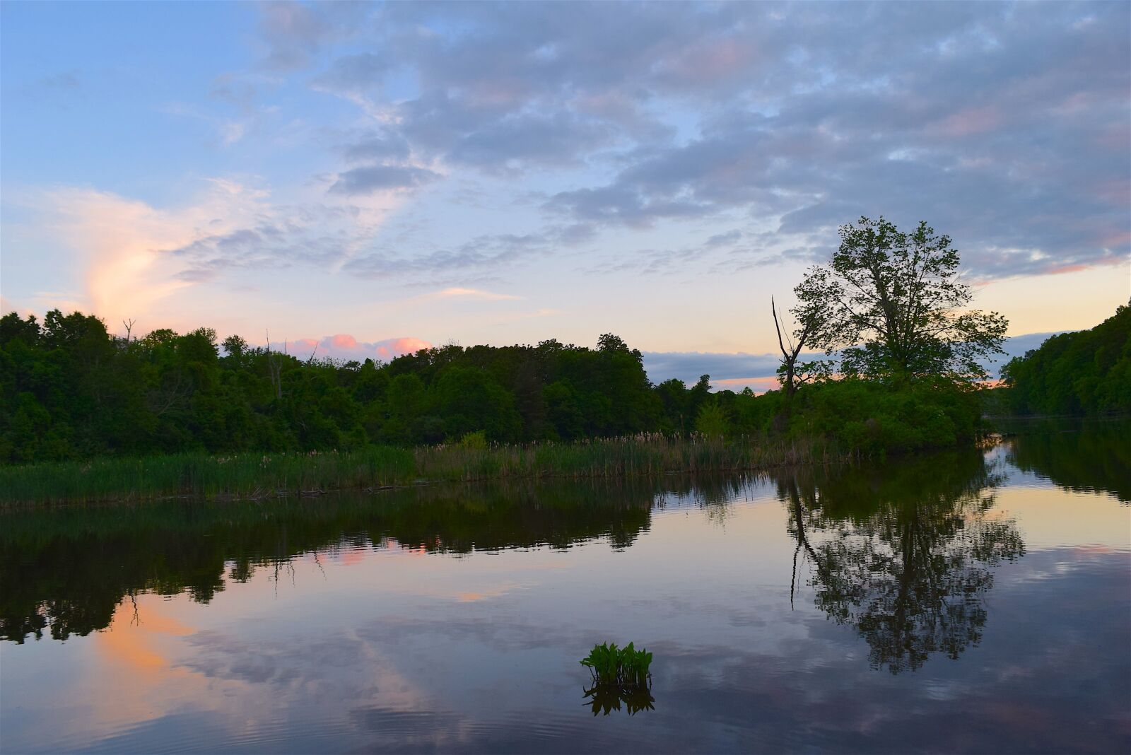 Nikon D3300 sample photo. Sunset, lake, nature photography