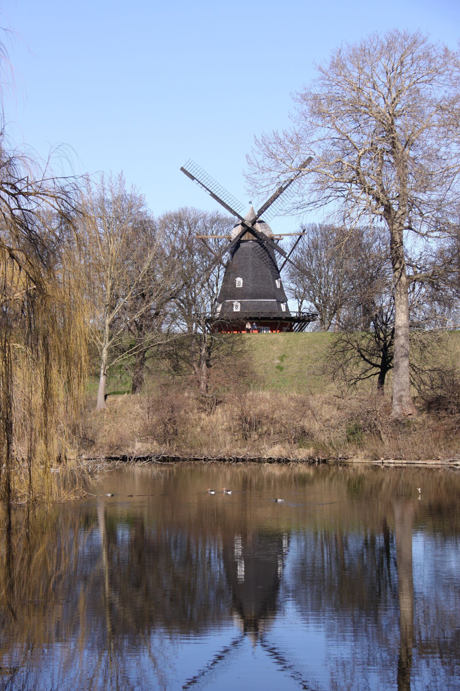 Canon EOS 50D sample photo. Mill, mirroring, blue photography