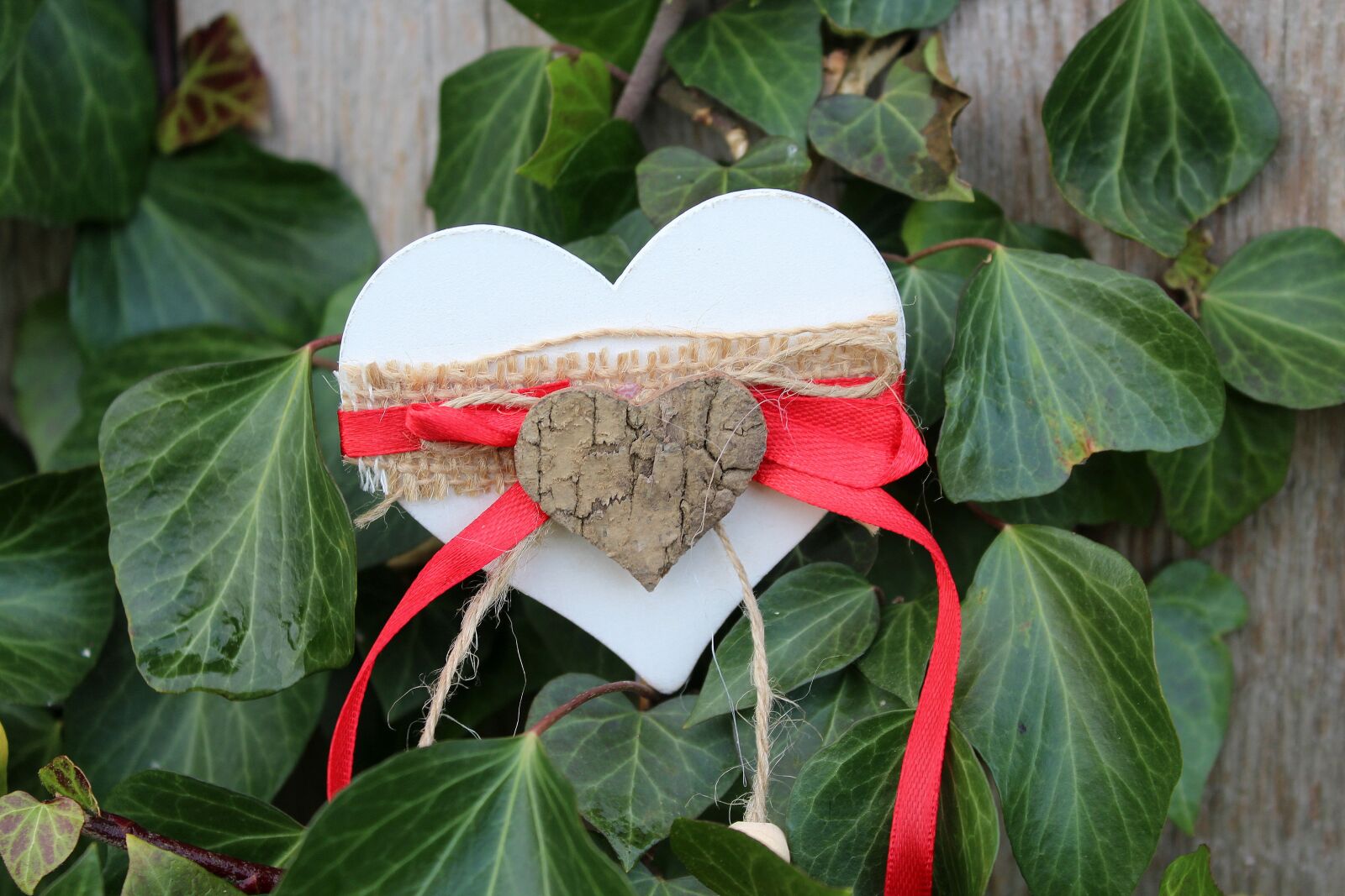 Canon EOS 1200D (EOS Rebel T5 / EOS Kiss X70 / EOS Hi) sample photo. Heart, leaf, nature photography