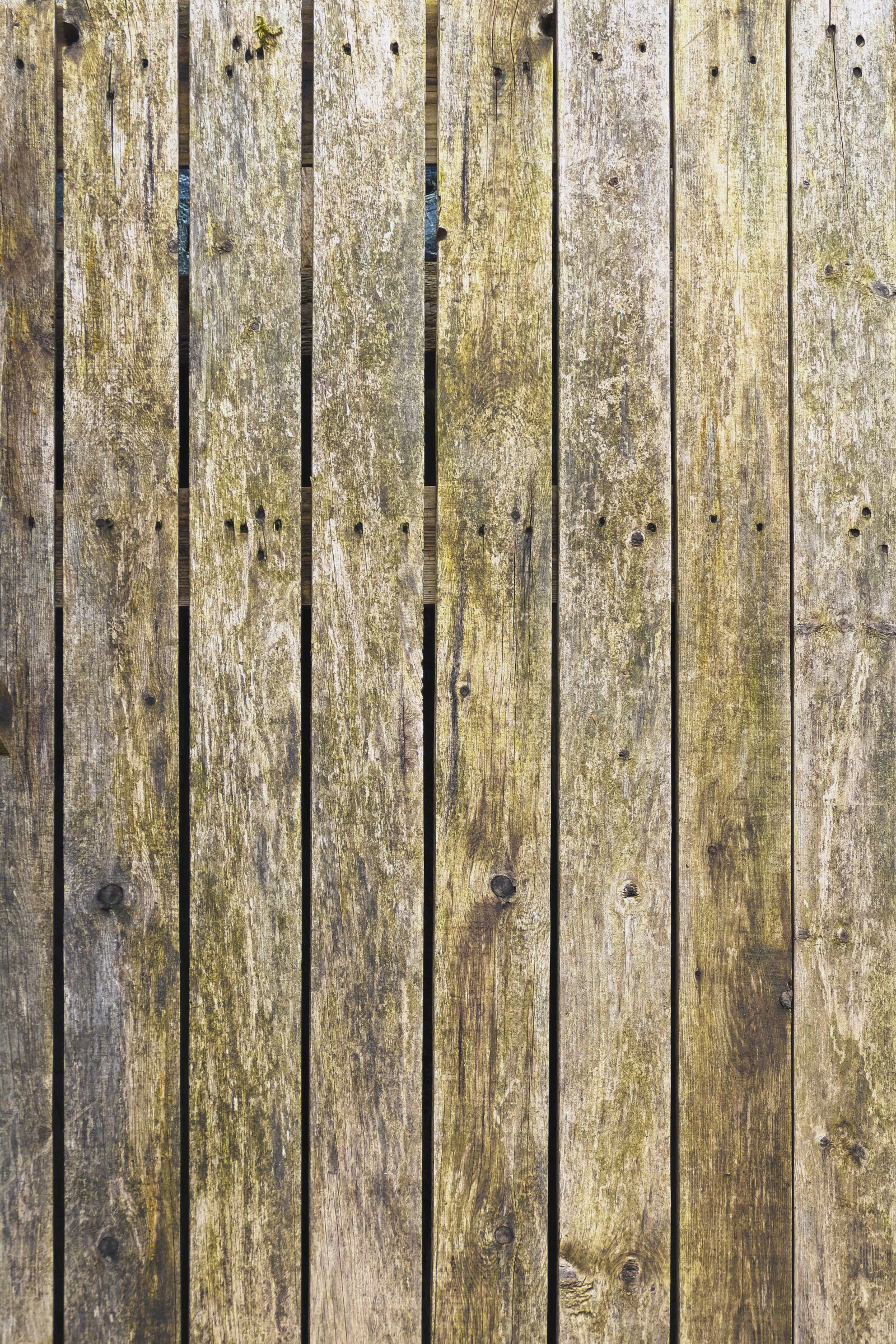 Panasonic Lumix DMC-FZ1000 sample photo. Wood, boards, wooden wall photography