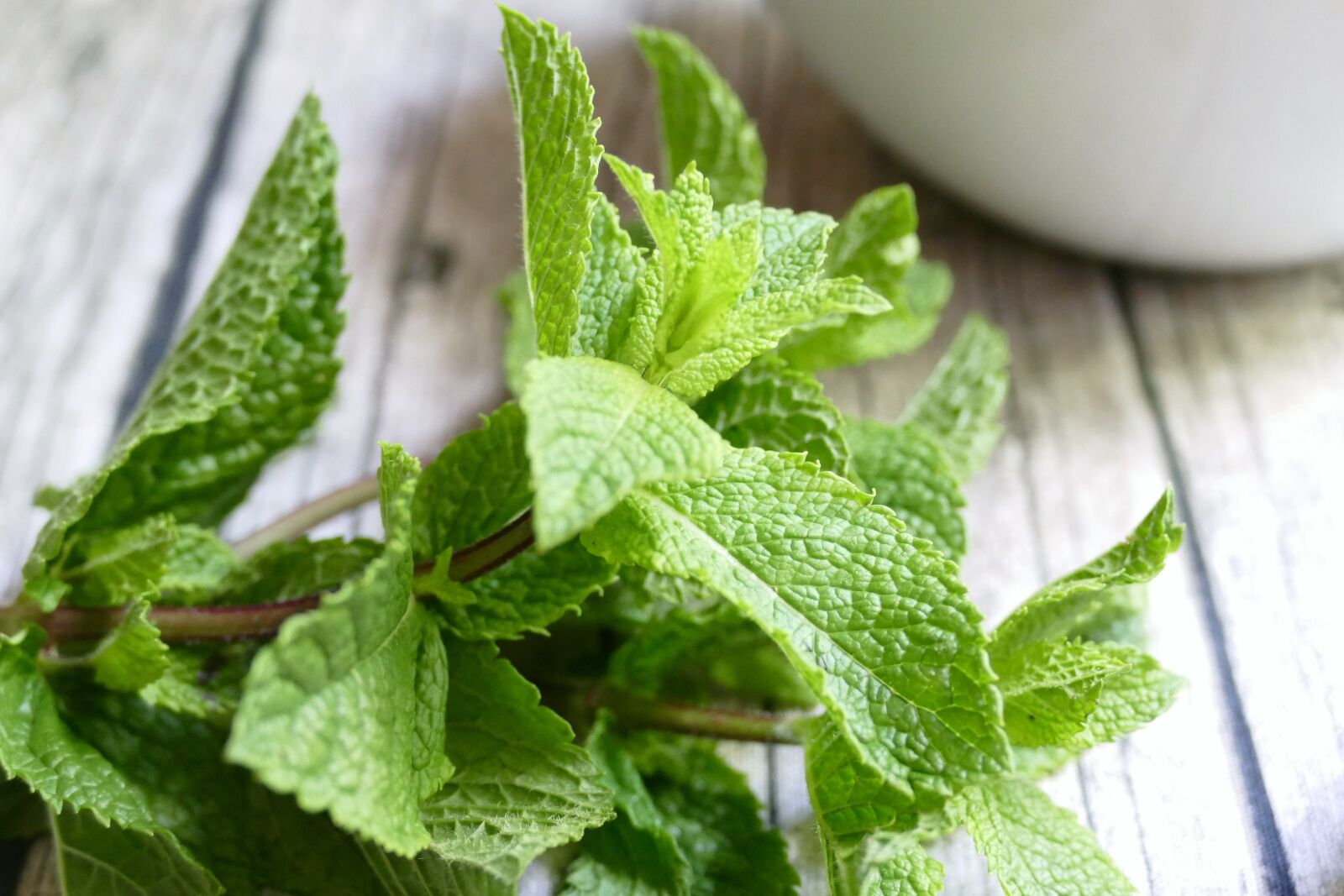 Panasonic Lumix DMC-FZ1000 sample photo. Mint, herbs, green photography