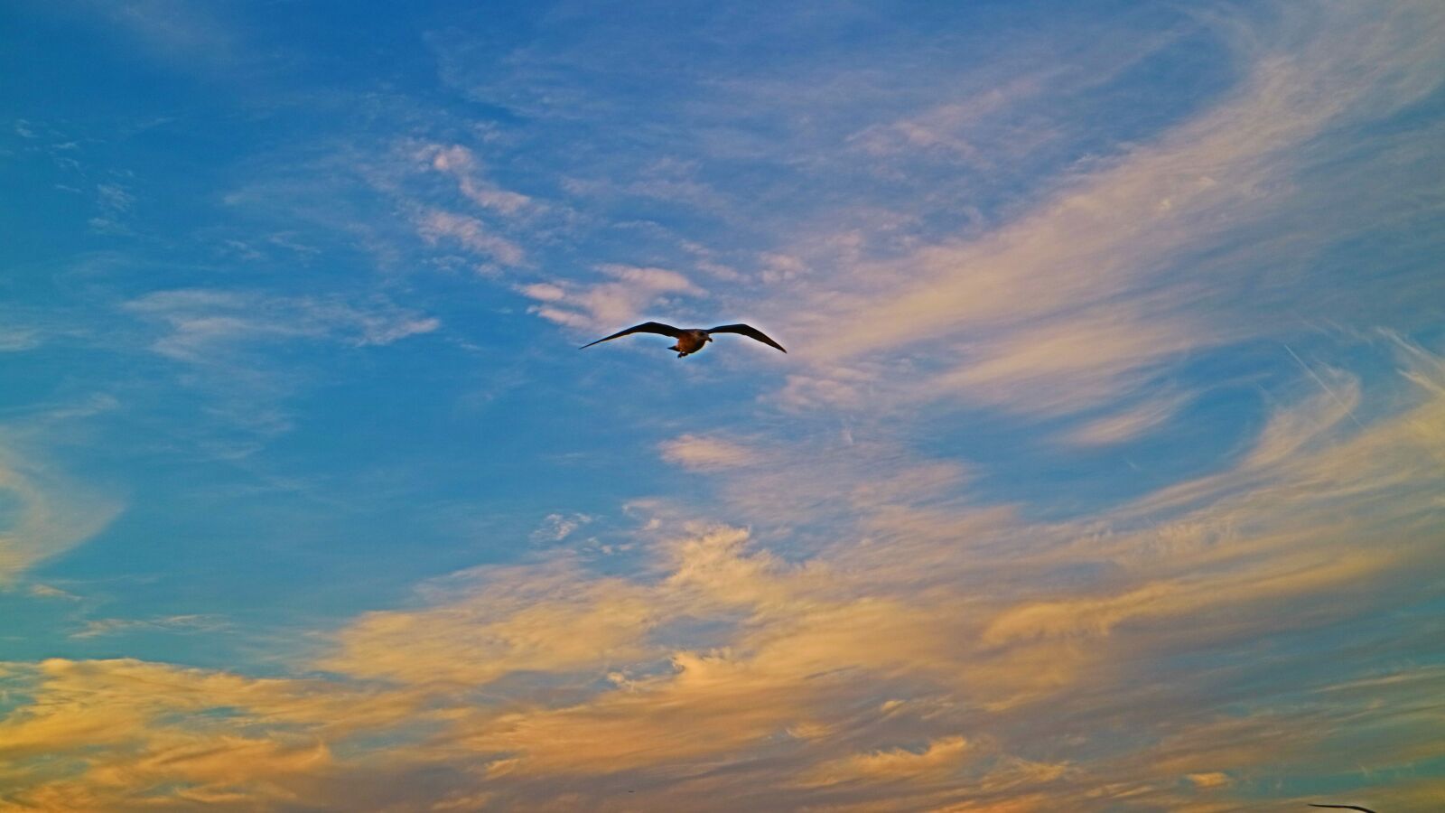 Canon EOS M3 sample photo. Animal, sky, nature photography