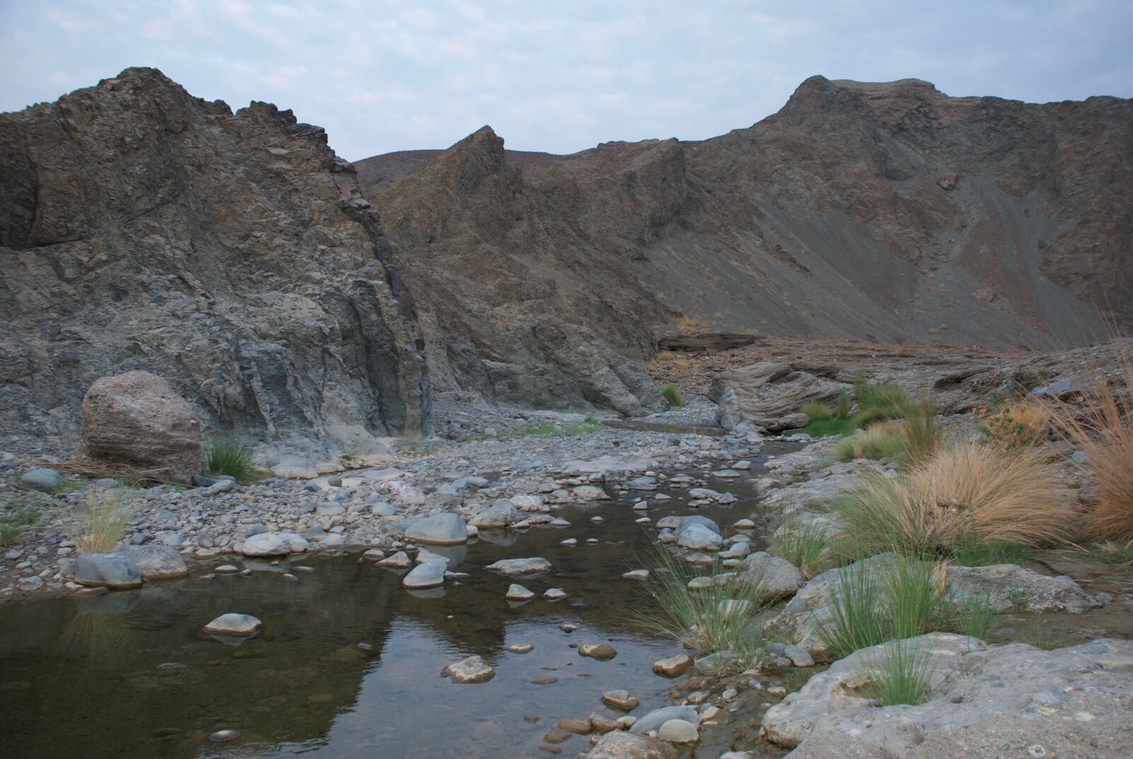 Nikon D80 sample photo. Travel, iran, steppe photography