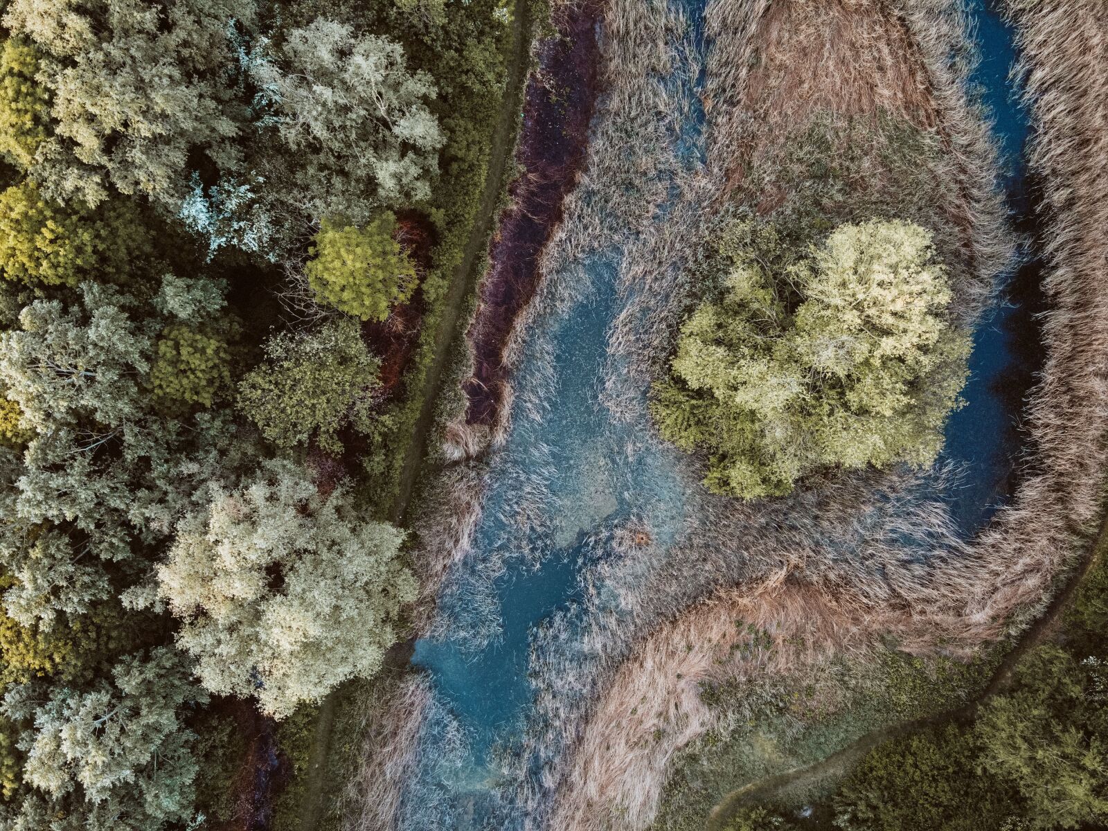 DJI FC7203 sample photo. Aerial, drone, pond photography