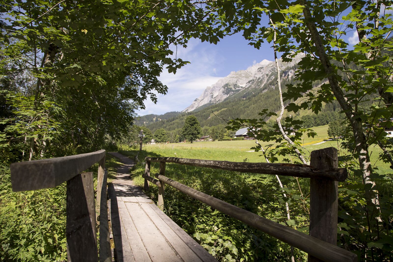 Canon EOS 6D sample photo. Path, alps, nature photography