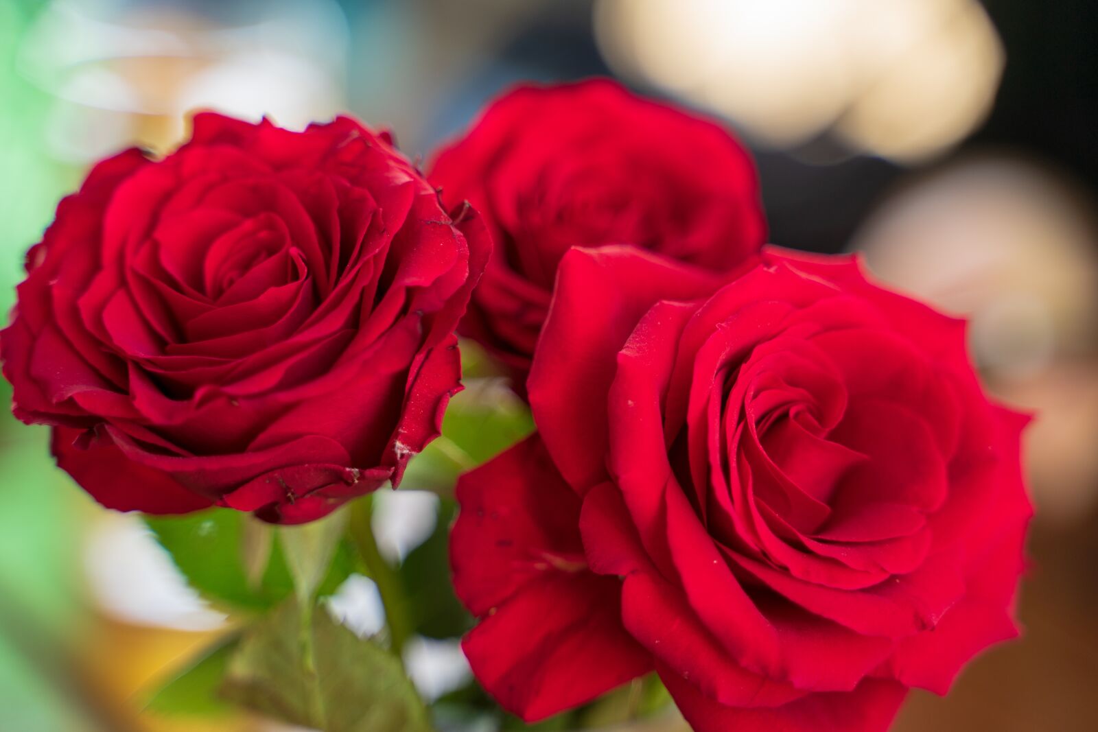 Tamron 28-75mm F2.8 Di III RXD sample photo. Roses, flowers, red photography