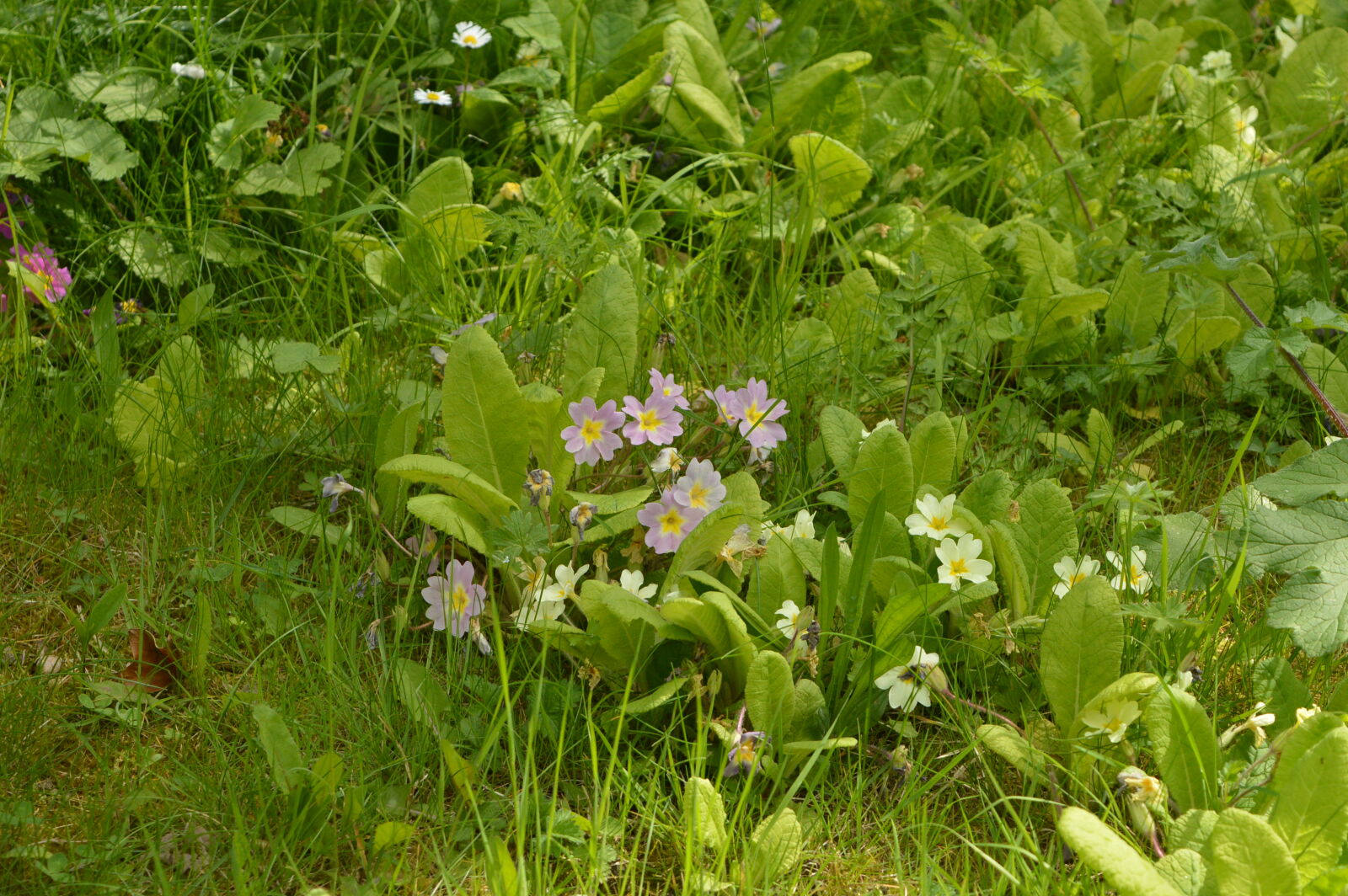 Nikon D3200 sample photo