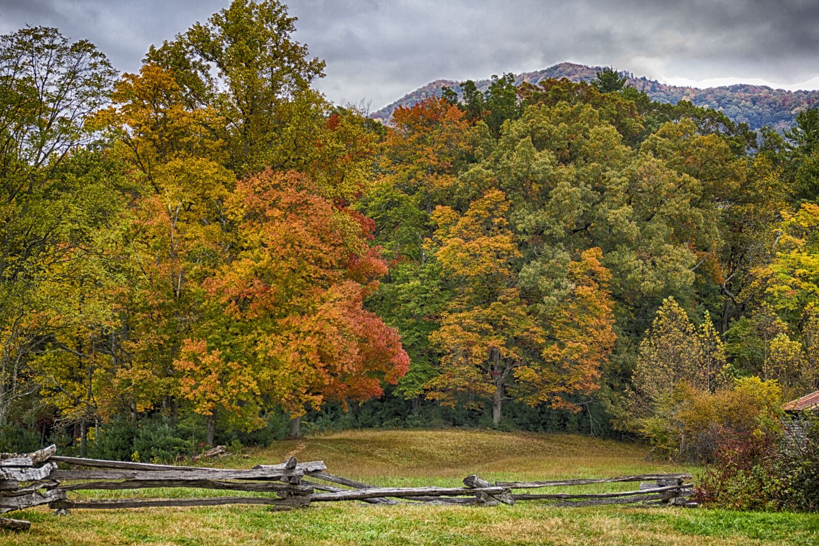 Canon EOS 550D (EOS Rebel T2i / EOS Kiss X4) sample photo. Cades cove, fall, autumn photography