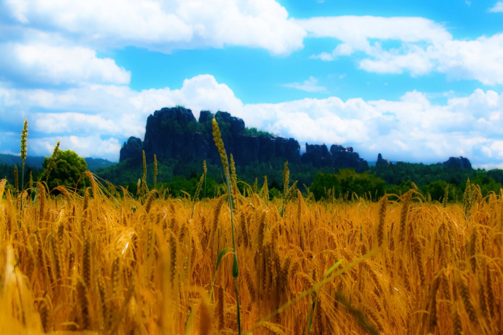Nikon D3100 sample photo. Saxon switzerland, mountains, landscape photography