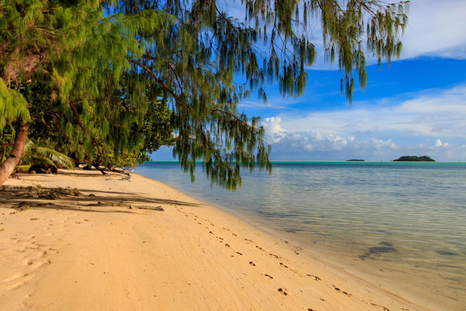 Canon EF-S 10-22mm F3.5-4.5 USM sample photo. Sand, beach, tropical photography