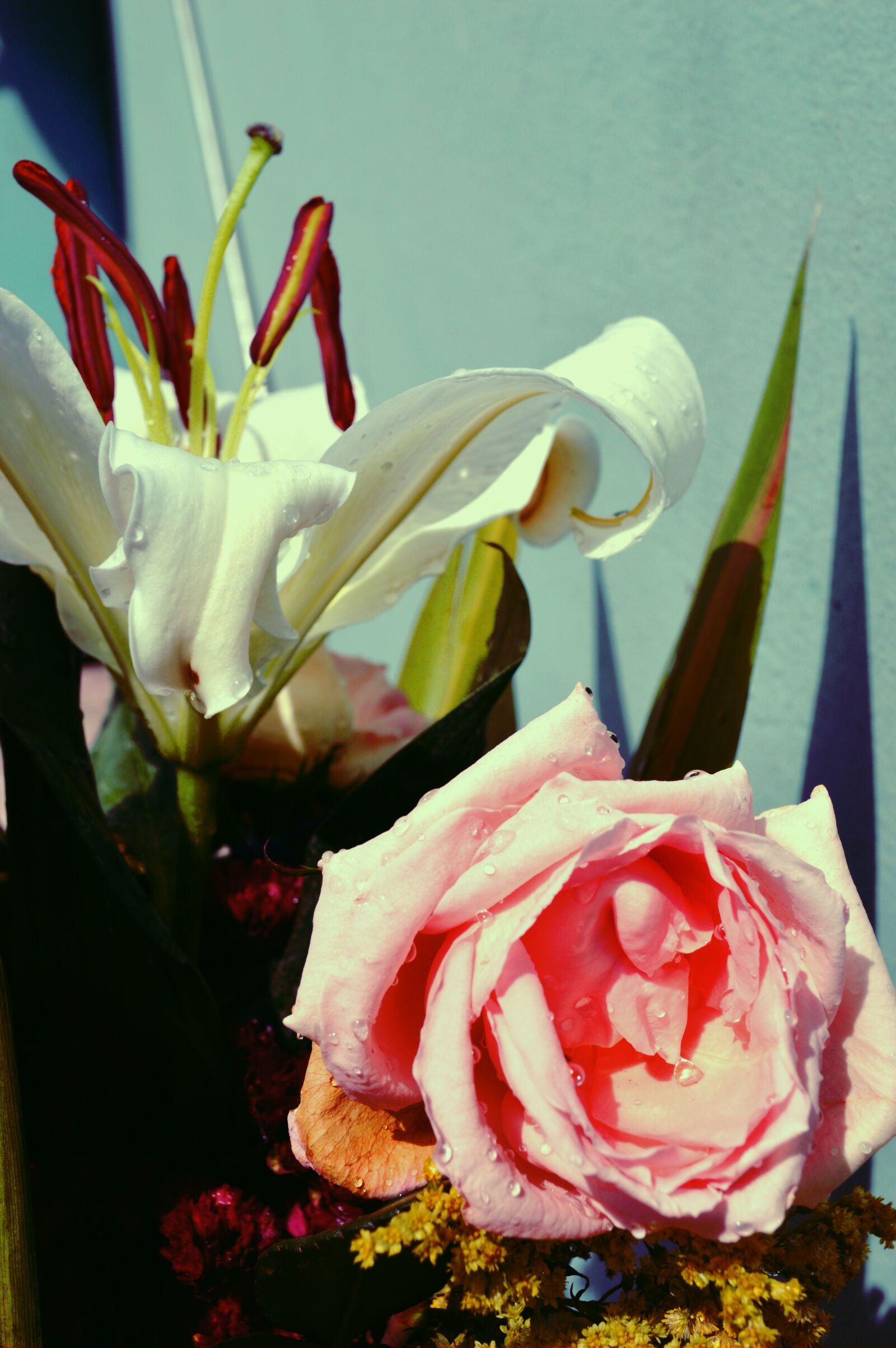 Nikon D3200 sample photo. Bouquet, vintage, roses photography