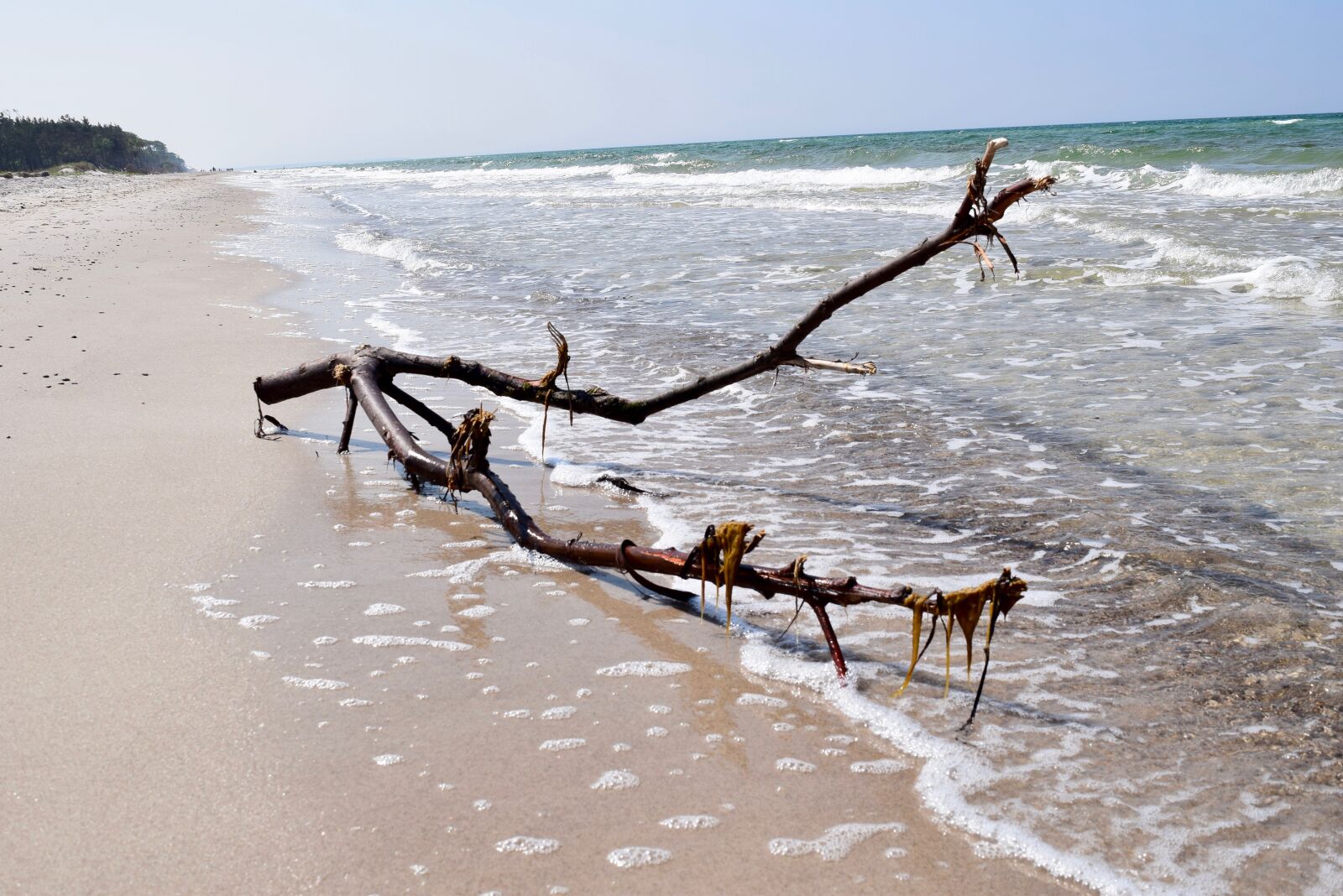 Nikon D3300 sample photo. Baltic sea, sea, sand photography