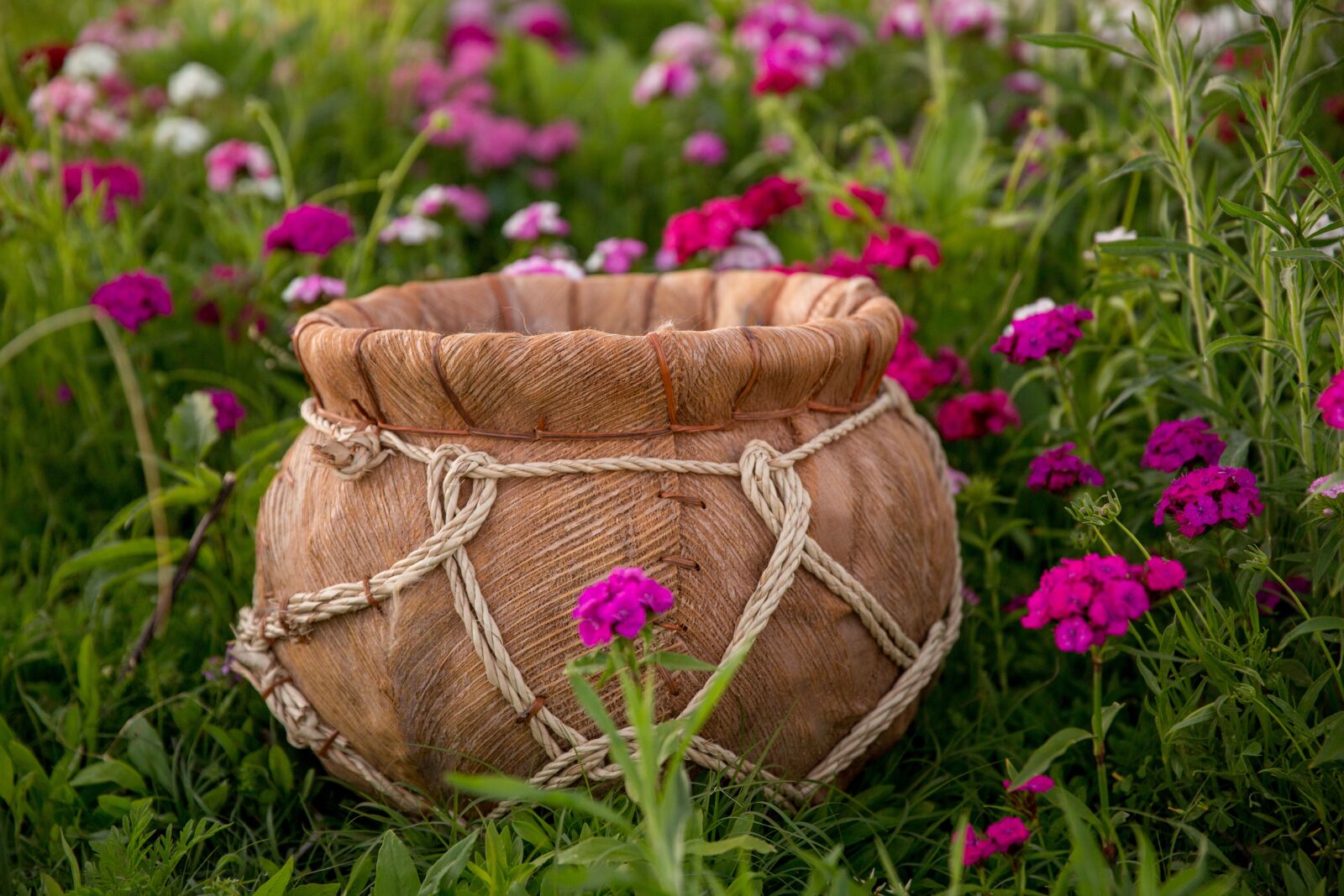 Canon EF 24-70mm F2.8L II USM sample photo. Flower field, bucket, baby photography