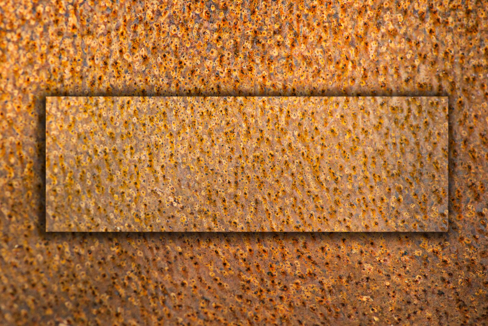 Sony SLT-A57 sample photo. Rust, rusty, metal photography