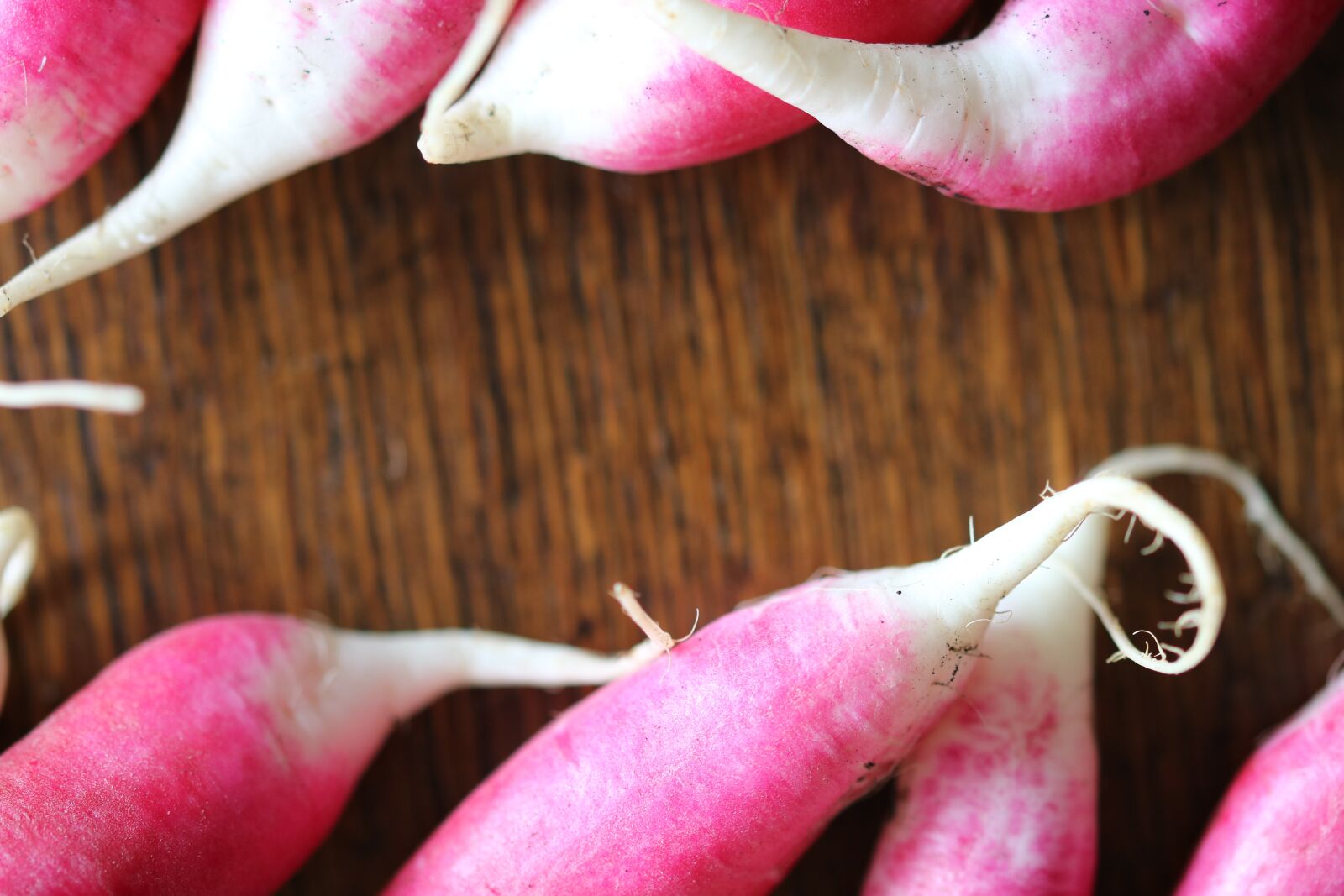 Canon EOS 750D (EOS Rebel T6i / EOS Kiss X8i) sample photo. Radishes, radish, red photography
