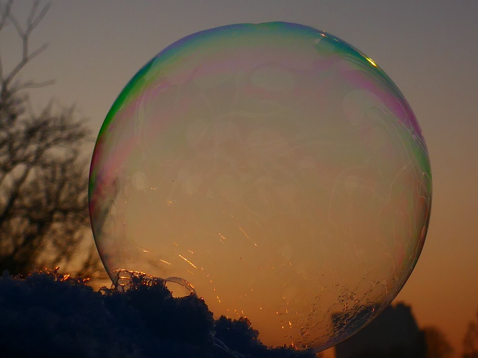 Panasonic DMC-TZ101 sample photo. Soap bubble, shimmer, frozen photography