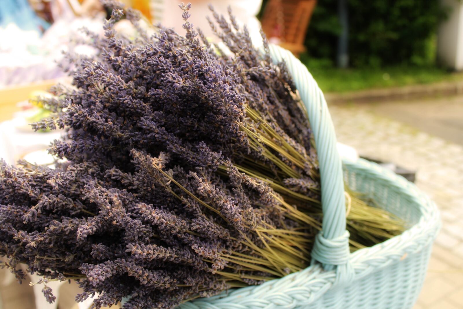 Canon EOS 600D (Rebel EOS T3i / EOS Kiss X5) sample photo. Lavender, basket, provence photography