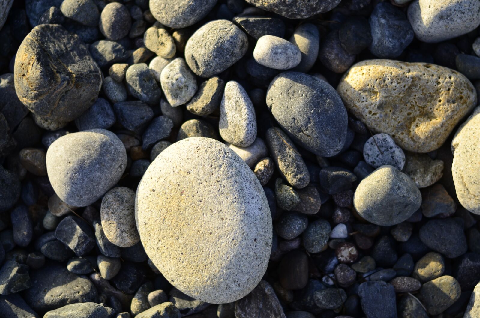 Nikon D7000 sample photo. Usa, california, pacific beach photography