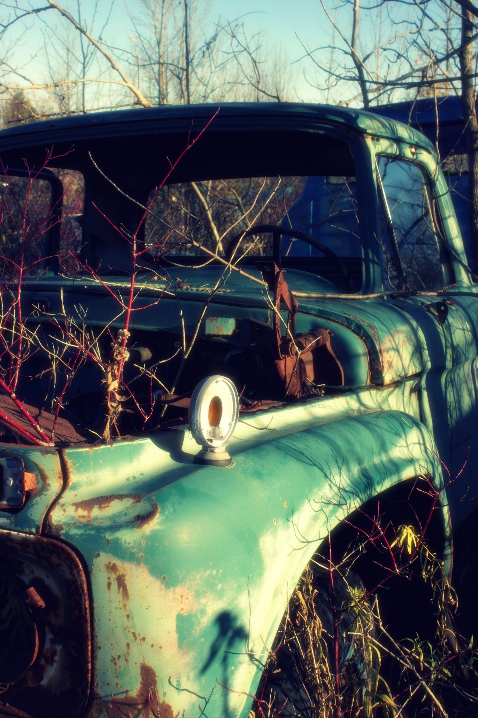 Canon EOS 600D (Rebel EOS T3i / EOS Kiss X5) sample photo. Salvage yard, car, wreck photography