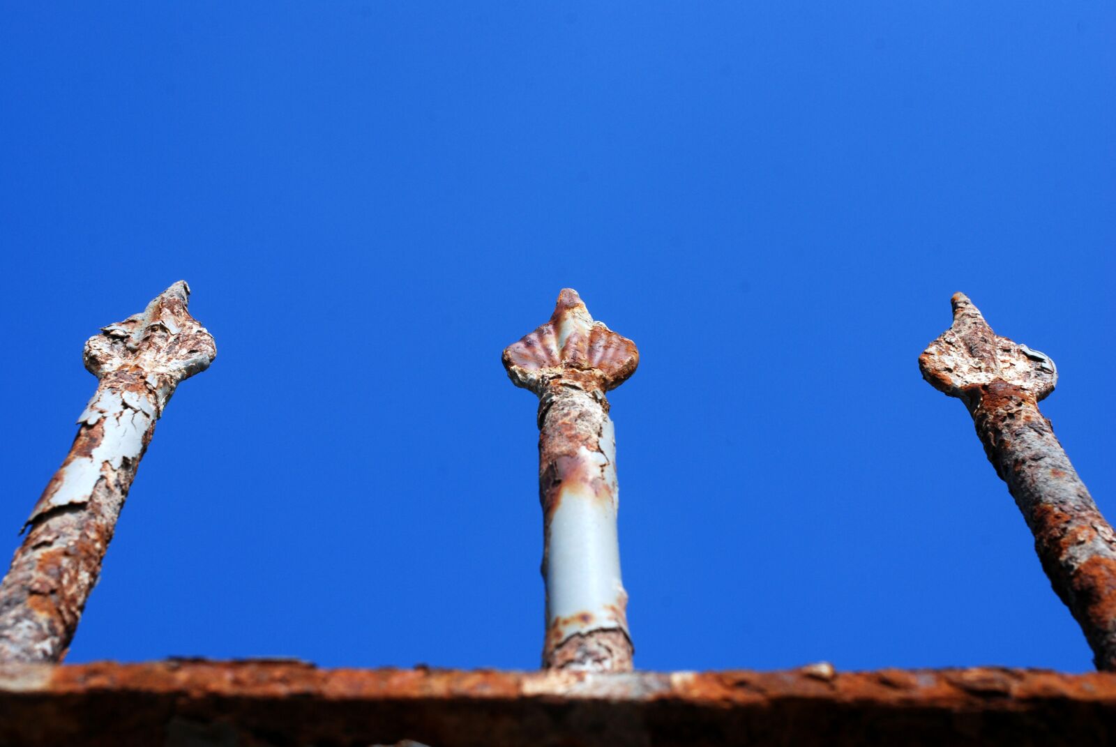 Nikon D80 sample photo. Picket fences, skies, blue photography