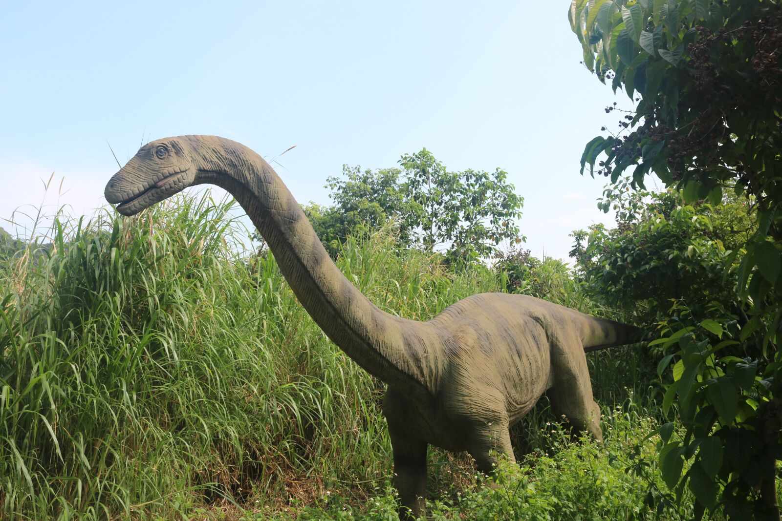 Canon EOS 750D (EOS Rebel T6i / EOS Kiss X8i) sample photo. Dinosaur, ancient dinosaur, simulation photography