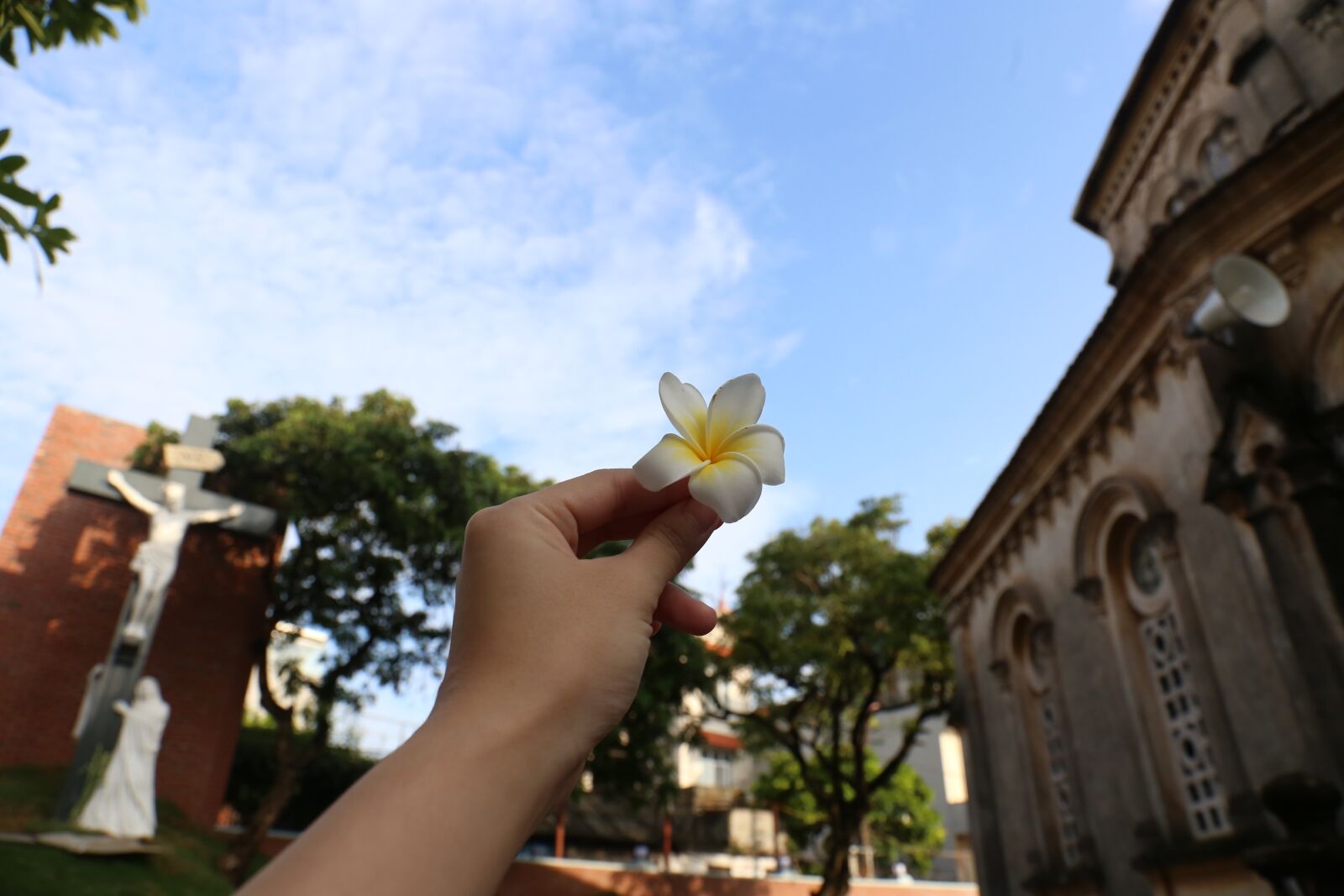 Canon EF 24-105mm F3.5-5.6 IS STM sample photo. Flower, church, the garden photography