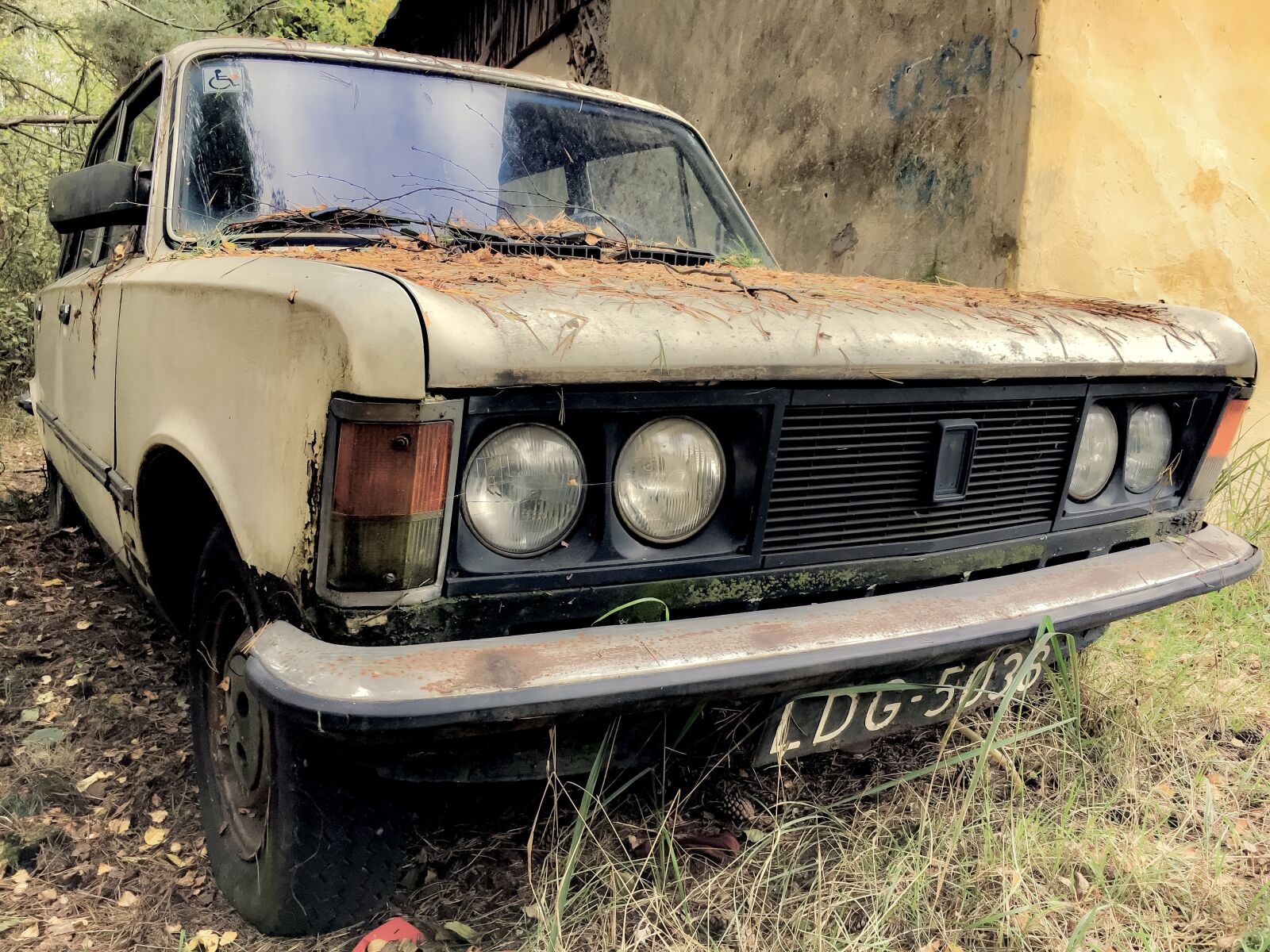 Apple iPhone 6s sample photo. Fiat, car, the vehicle photography