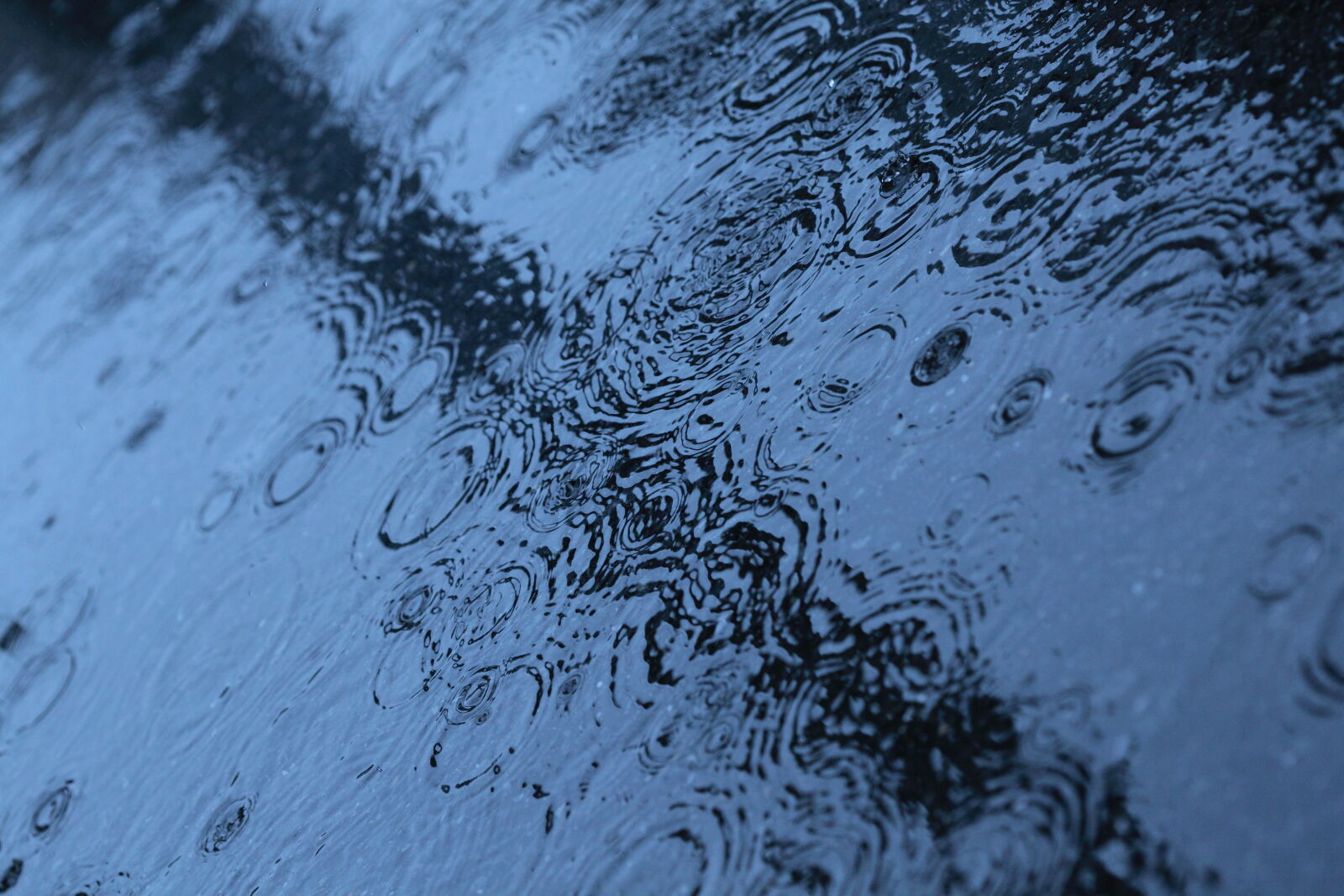 Canon EF 100mm F2.8 Macro USM sample photo. Blue, drops, puddle, rain photography