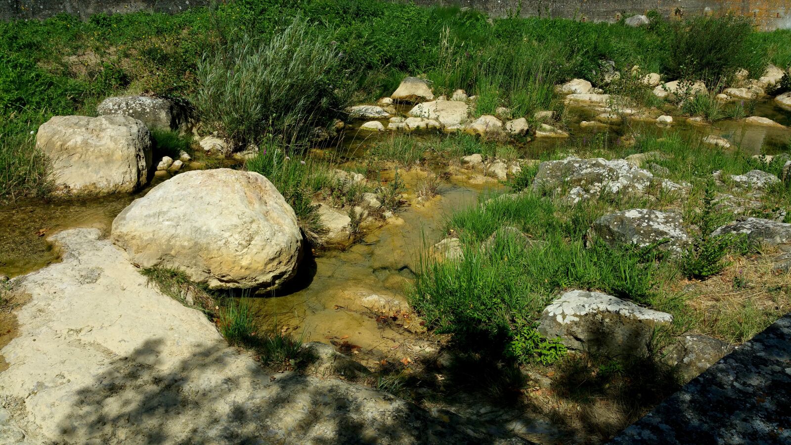Samsung Galaxy Note4 sample photo. Aude, été, nature photography