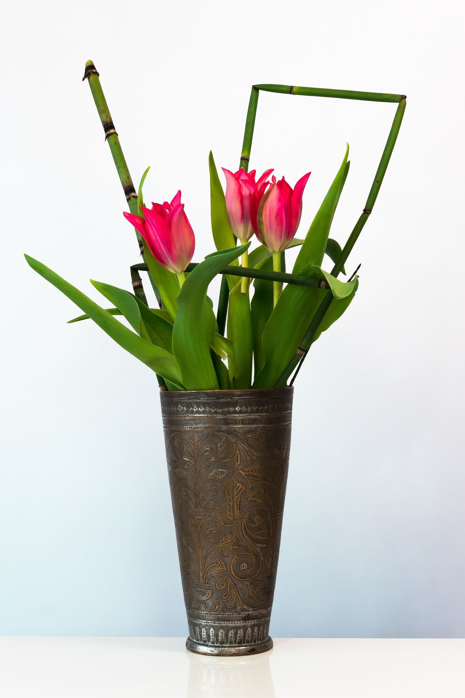 Canon EOS 1300D (EOS Rebel T6 / EOS Kiss X80) sample photo. Tulip, tulip bouquet, spring photography