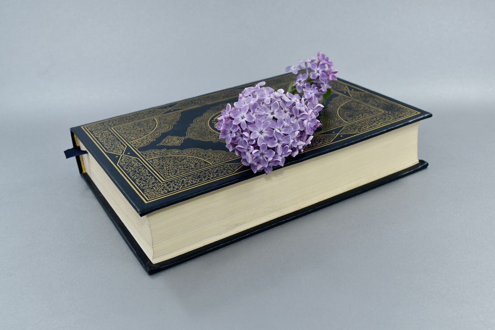 Nikon D5500 sample photo. Book, literature, knowledge, education photography