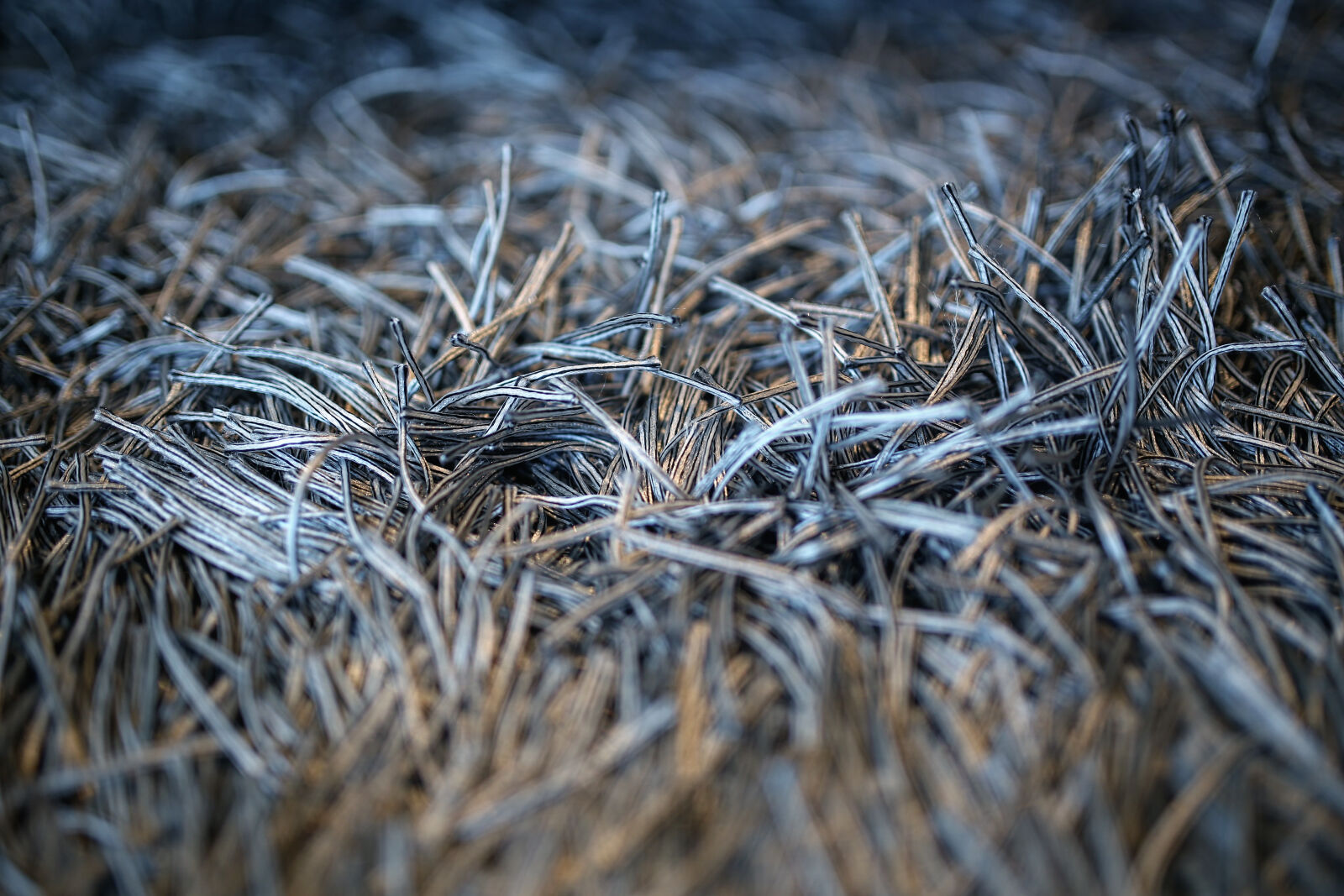 Canon EOS 6D sample photo. Carpet, with, fringe photography