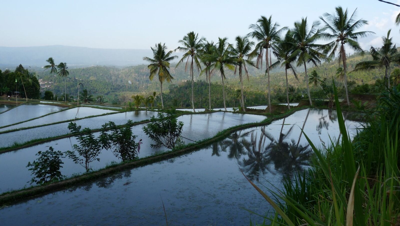 Panasonic Lumix DMC-FZ28 sample photo. Bali, rice field, reflections photography