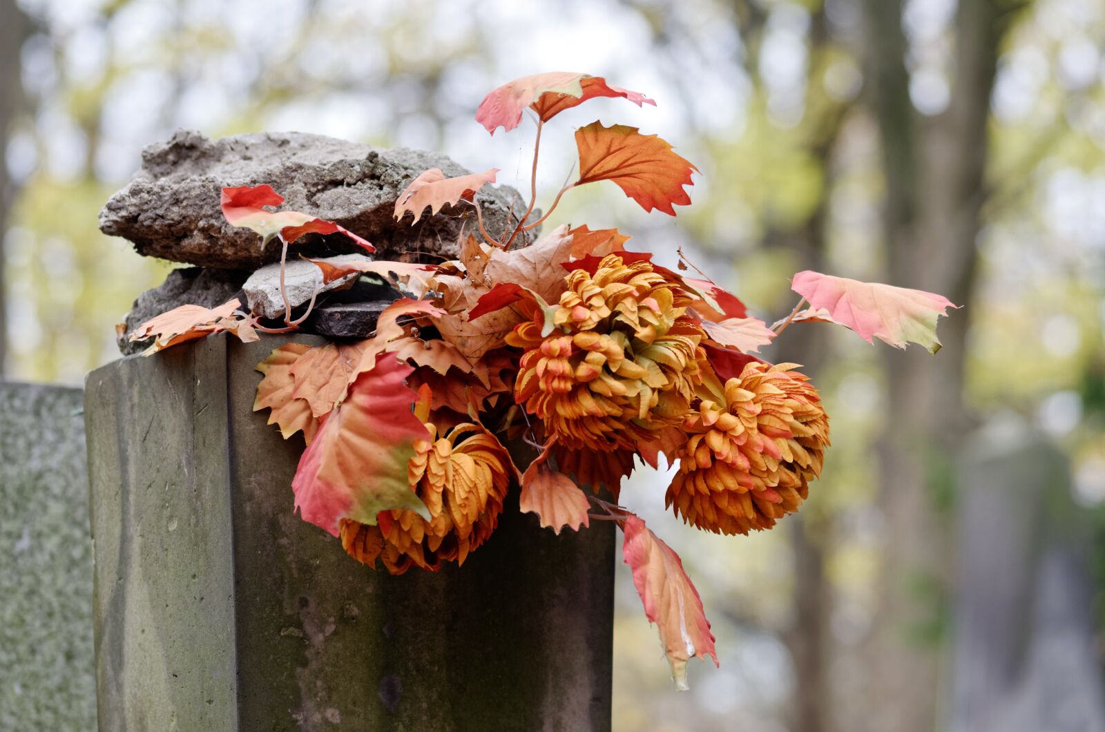 Nikon D5100 sample photo. Flowers, orange, leaves photography