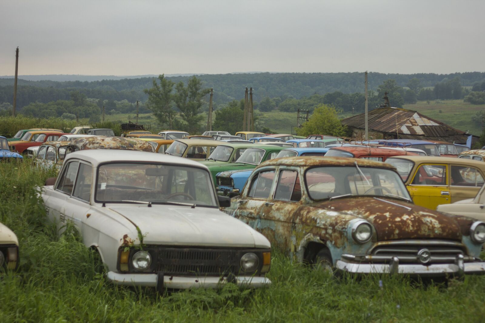 Canon EOS 550D (EOS Rebel T2i / EOS Kiss X4) sample photo. Cars, field, museum photography