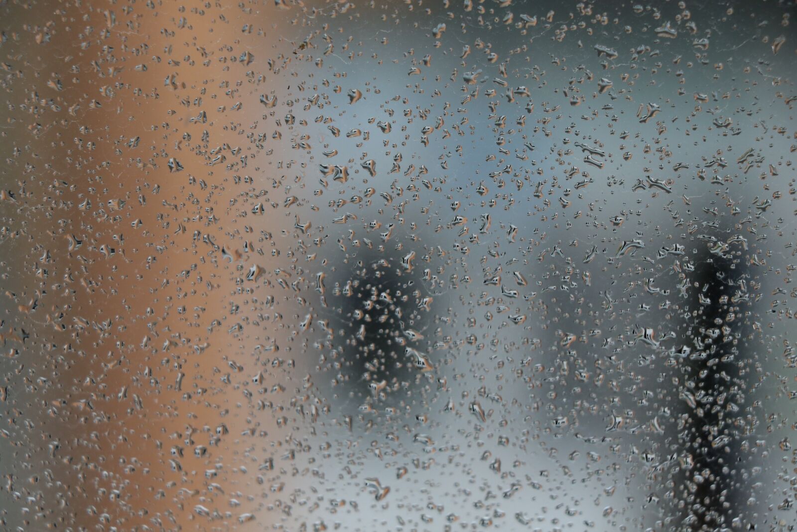 Canon EF-S 18-135mm F3.5-5.6 IS USM sample photo. Rain, drops, water photography
