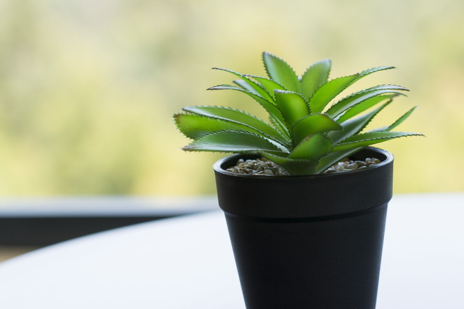 Nikon D7100 sample photo. Plant, vase, flower photography