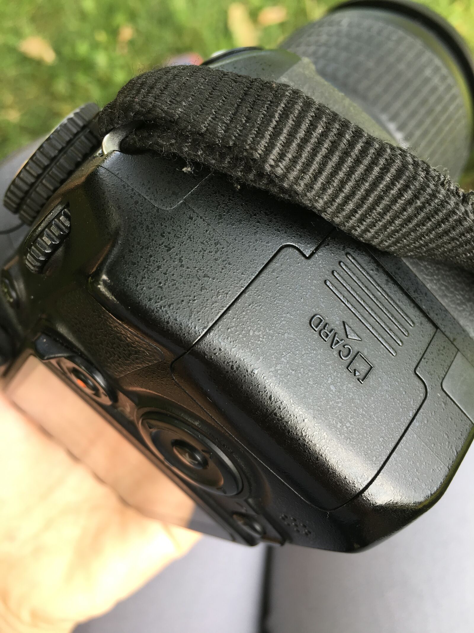 Apple iPhone 6s Plus sample photo. Nikon, camera, lens photography