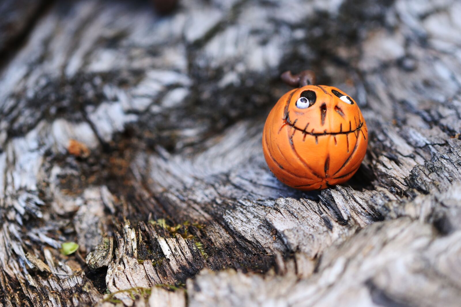 Canon EOS 7D Mark II sample photo. Pumpkin, halloween, figures photography