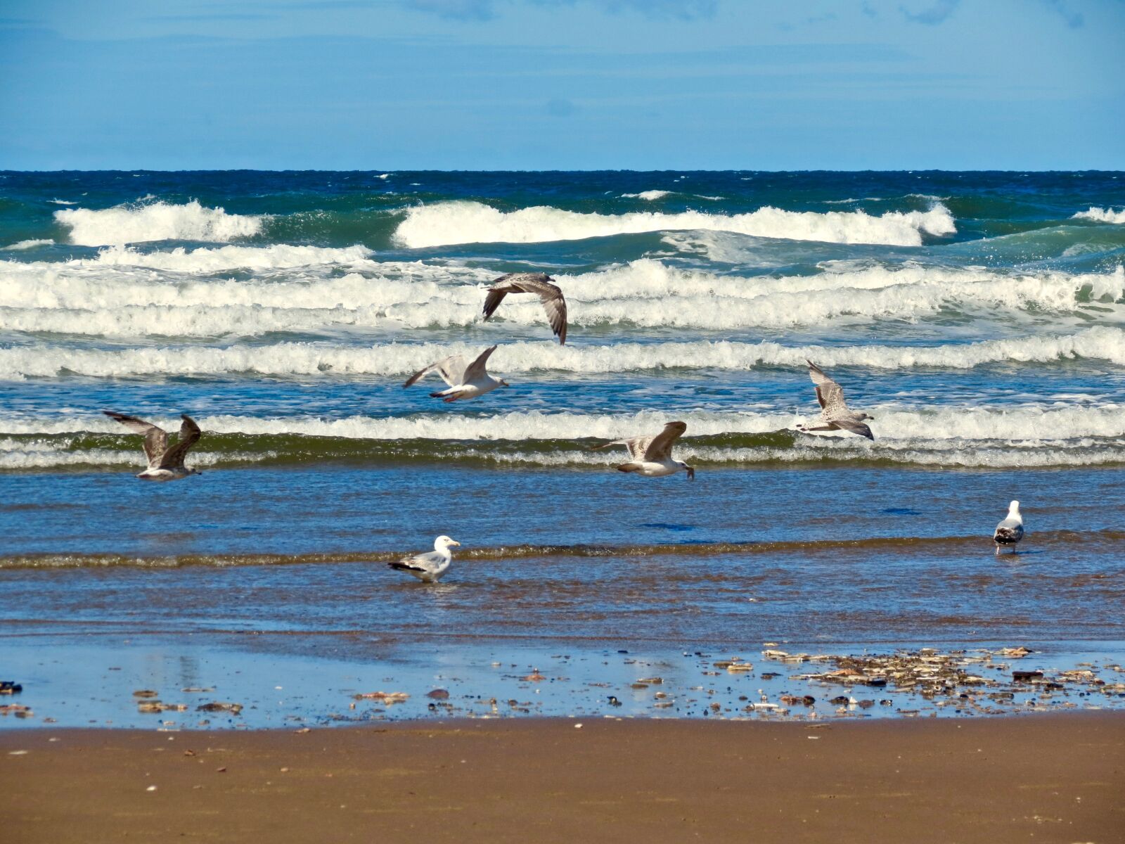 Canon PowerShot SX40 HS sample photo. Sea, ocean, waves photography