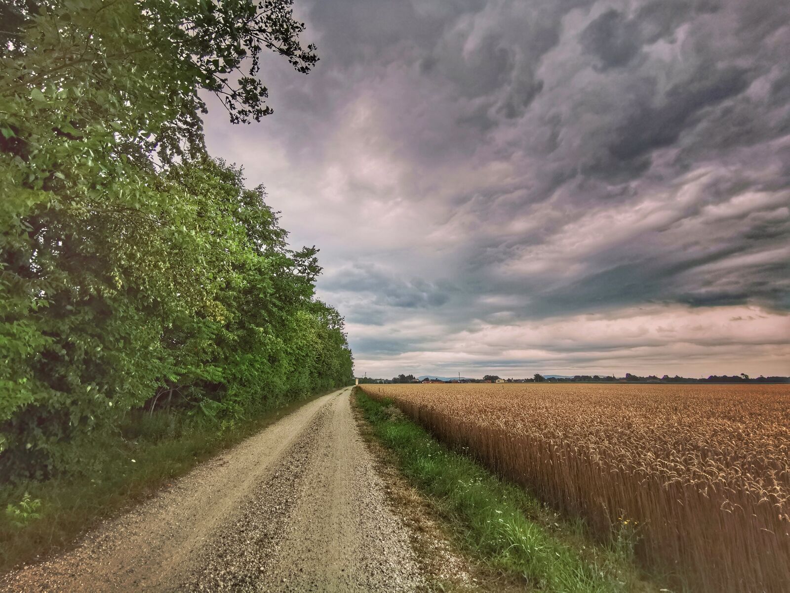 HUAWEI P30 Pro sample photo. Nikon, coolpix, p900 photography