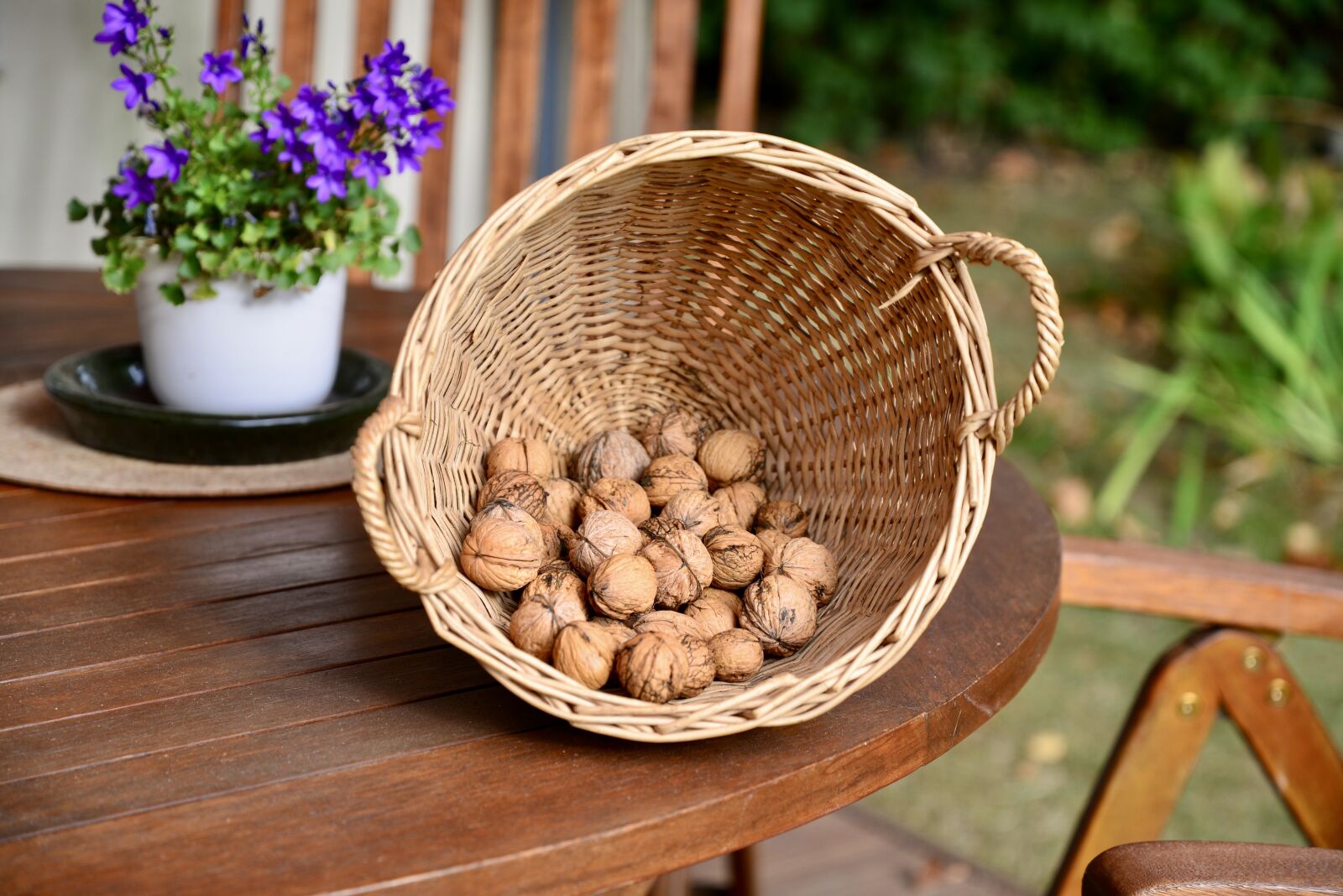 Nikon D610 sample photo. Walnut, basket, autumn photography