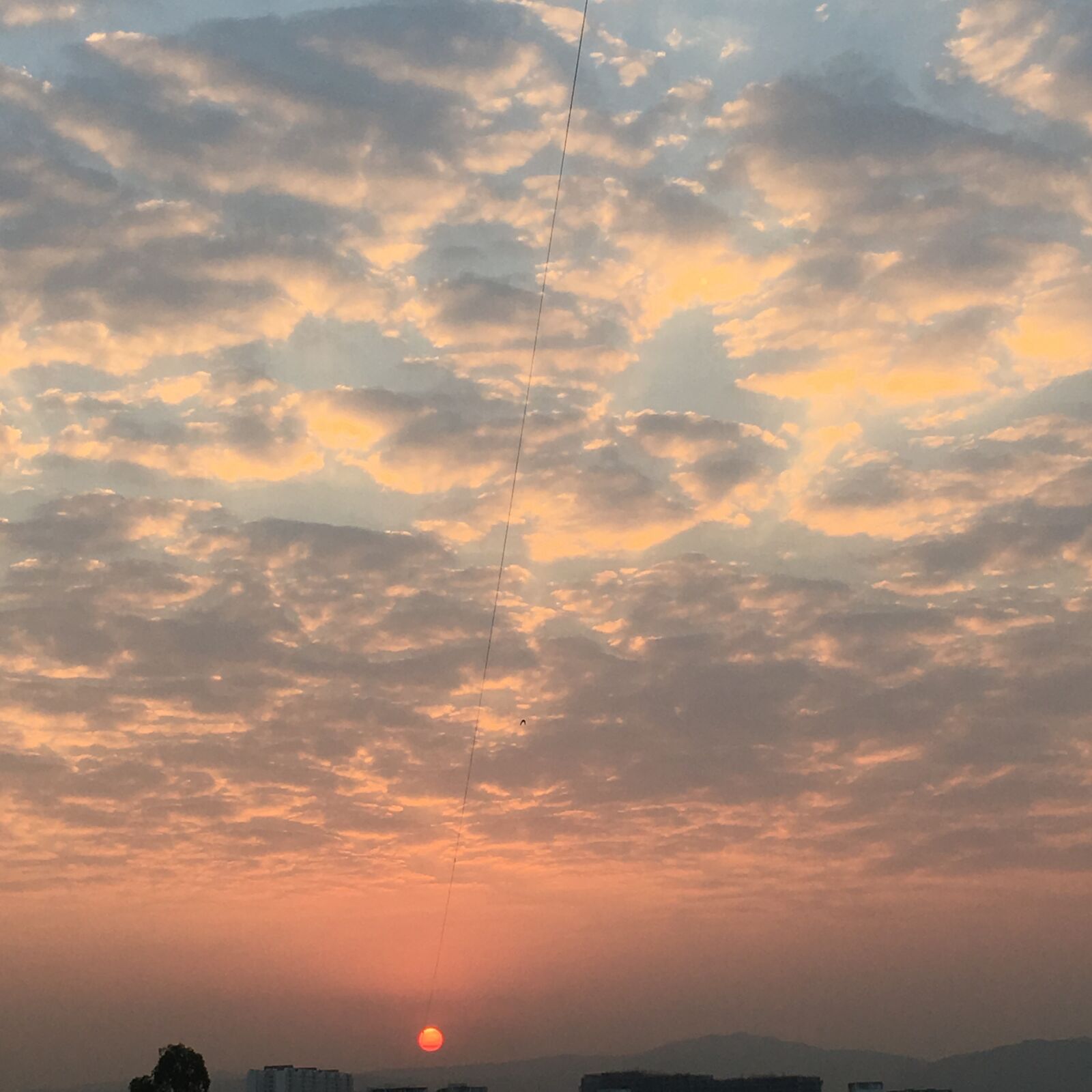Apple iPhone 6s sample photo